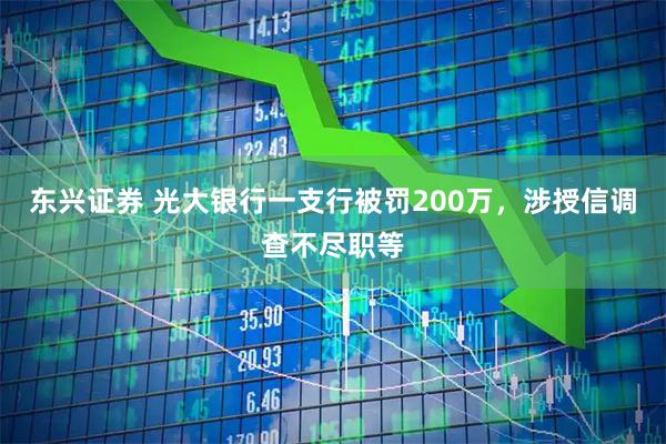 东兴证券 光大银行一支行被罚200万，涉授信调查不尽职等