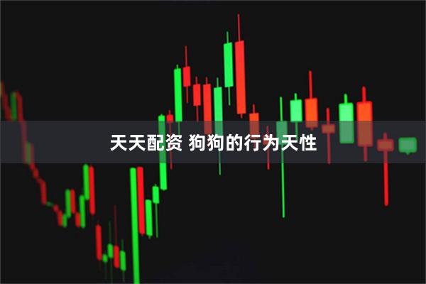 天天配资 狗狗的行为天性