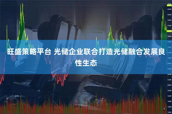旺盛策略平台 光储企业联合打造光储融合发展良性生态