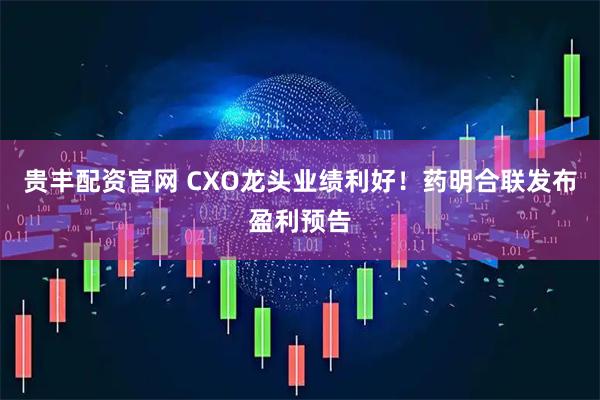贵丰配资官网 CXO龙头业绩利好！药明合联发布盈利预告