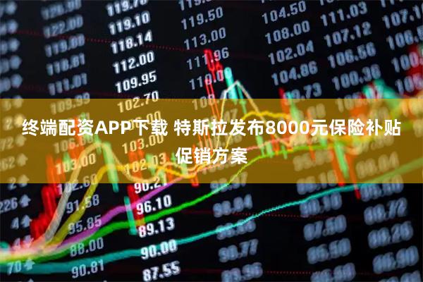 终端配资APP下载 特斯拉发布8000元保险补贴促销方案