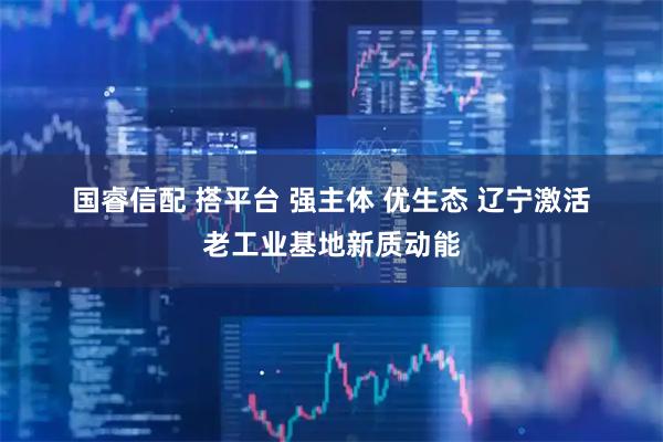 国睿信配 搭平台 强主体 优生态 辽宁激活老工业基地新质动能