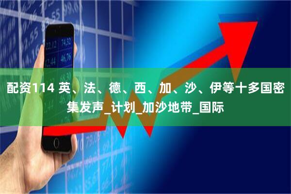 配资114 英、法、德、西、加、沙、伊等十多国密集发声_计划_加沙地带_国际