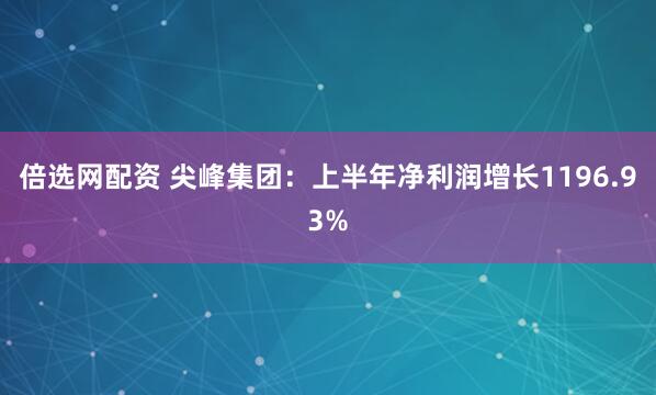 倍选网配资 尖峰集团：上半年净利润增长1196.93%